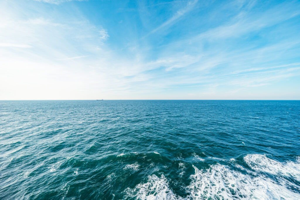 Blanked Sailings
