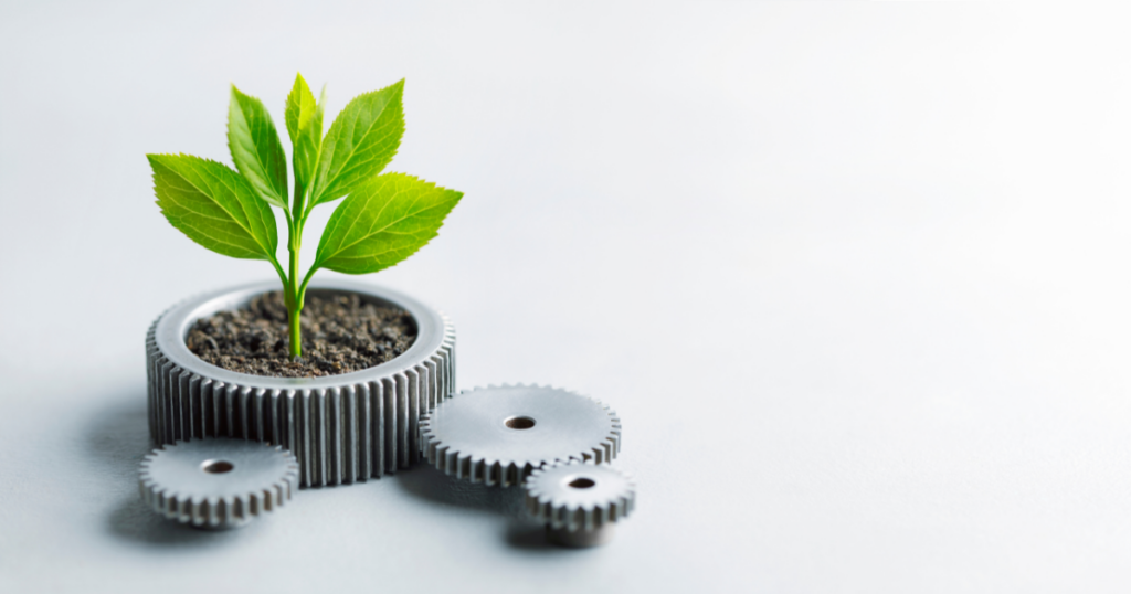 sustainability supply chain management